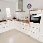 Estrella De Blanca * La Oliva