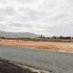 Estrella De Blanca